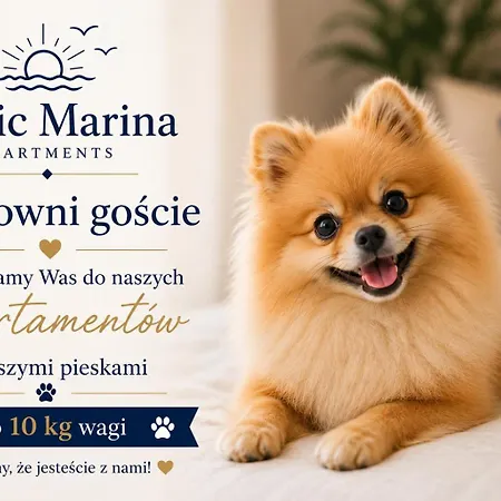 Baltic Marina مينزفوجة